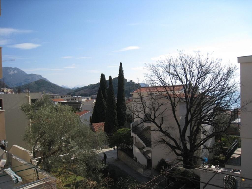 Apartment Stana Petrovac Εξωτερικό φωτογραφία